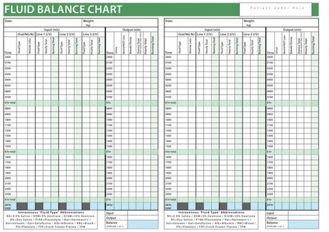 Fluid Balance Chart Calculation